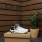 Basketball Shoes